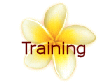Training and Workshops